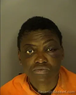 Mugshot of ELEXIS DELORIS POWE booked in Horry County, South Carolina on March 23, 2026