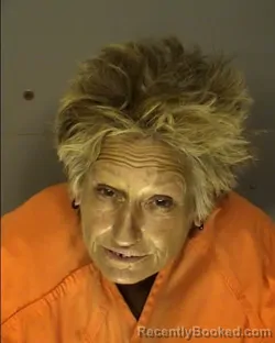 Mugshot of GHIQUITA HAZEL JEAN WILSON booked in Horry County, South Carolina on March 23, 2026