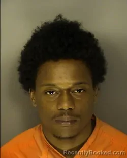 Mugshot of NYSHAWN RALIK DOCTOR booked in Horry County, South Carolina on March 24, 2026