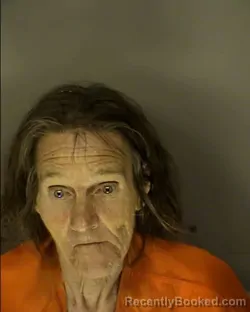 Mugshot of RENEE MARGARET DICK booked in Horry County, South Carolina on March 24, 2026