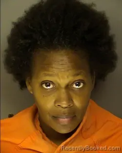 Mugshot of SHARONDA ELIZABETH DAISY booked in Horry County, South Carolina on March 24, 2026