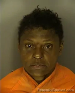 Mugshot of SYBIL ANN MCNEIL booked in Horry County, South Carolina on March 24, 2026