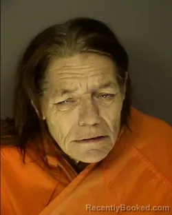 Mugshot of DAWN MARIE NELSON booked in Horry County, South Carolina on March 25, 2026