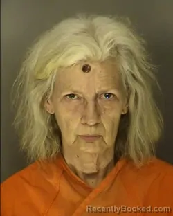 Mugshot of PAULA D CREEL booked in Horry County, South Carolina on March 25, 2026