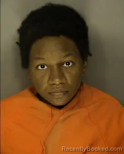 Mugshot of KIMBERLEE NACOLE TUCKER booked in Horry County, South Carolina on March 25, 2026