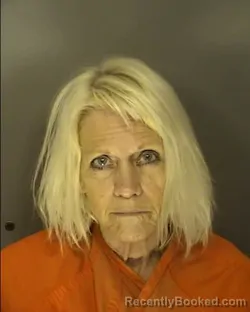 Mugshot of LINDA MARIE FLANAGAN booked in Horry County, South Carolina on March 25, 2026