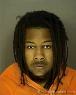 Mugshot of JAYLES AMAREE HIGDON booked in Horry County, South Carolina on March 25, 2026