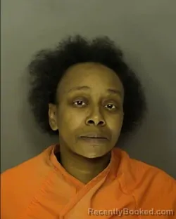 Mugshot of SERINA NICOLE WILEY booked in Horry County, South Carolina on March 25, 2026