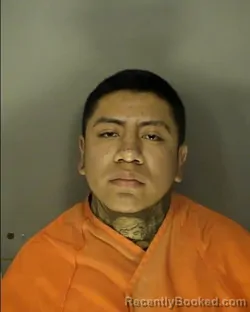 Mugshot of WESLY A SUCHI MONZON booked in Horry County, South Carolina on March 25, 2026