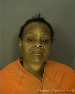 Mugshot of MARIE ADAMS booked in Horry County, South Carolina on March 25, 2026