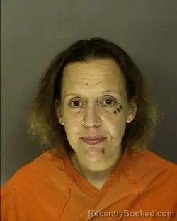 Mugshot of DIXIE REBECCA SAULS booked in Horry County, South Carolina on March 25, 2026