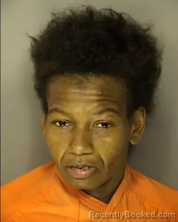 Mugshot of KAREN DEMETRIA WILDER booked in Horry County, South Carolina on March 26, 2026