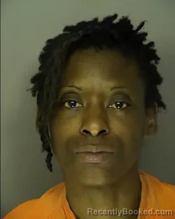 Mugshot of TIA LYNN SUTTON booked in Horry County, South Carolina on March 26, 2026