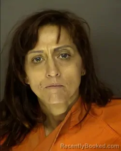 Mugshot of KELLY COLLEEN ROSSI booked in Horry County, South Carolina on March 26, 2026