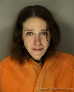 Mugshot of STEVI SCHAE WELLS booked in Horry County, South Carolina on March 26, 2026