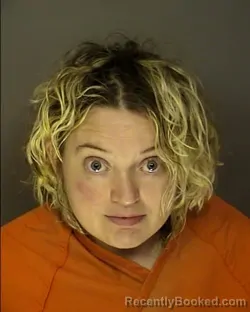 Mugshot of CHRISTINE ARLINE MCNABB booked in Horry County, South Carolina on March 26, 2026