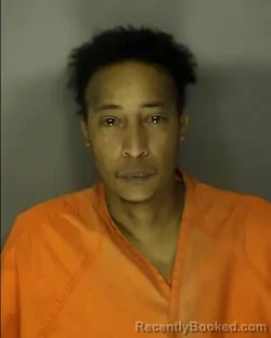 Mugshot of EBONY LATRELLE JOHNSON booked in Horry County, South Carolina on March 27, 2026