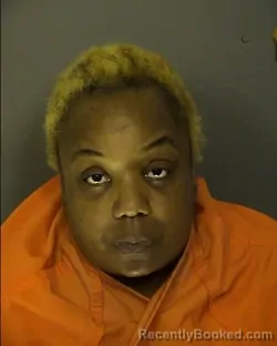Mugshot of REGINA NECHELLE JOHNSON booked in Horry County, South Carolina on March 28, 2026