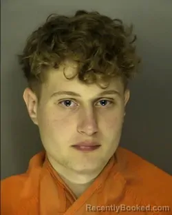 Mugshot of LOGAN JULES NOVAK booked in Horry County, South Carolina on March 28, 2026