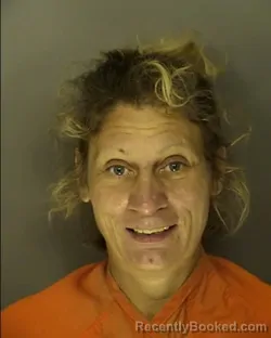 Mugshot of TAMMY ANN FERREE booked in Horry County, South Carolina on March 28, 2026