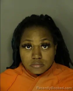 Mugshot of CHEVILLE ELIZABETH SMITH booked in Horry County, South Carolina on March 29, 2026