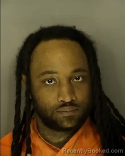 Mugshot of CHRISTIN SHAMAR SMITH booked in Horry County, South Carolina on March 29, 2026