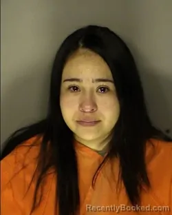 Mugshot of HEYDY HERNANDEZ booked in Horry County, South Carolina on March 30, 2026