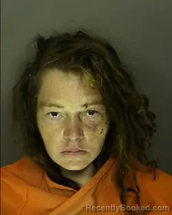 Mugshot of SAMMANTHA DANYELLE HUDSON booked in Horry County, South Carolina on April 1, 2026