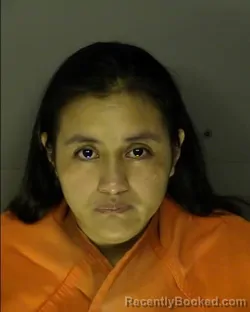 Mugshot of GUMERCINDA PETRONA MIGUEL DIEGO booked in Horry County, South Carolina on April 1, 2026