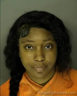 Mugshot of LAURA ANTANETE BLACK booked in Horry County, South Carolina on April 1, 2026