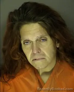 Mugshot of KRISTY ANN HURSEY booked in Horry County, South Carolina on April 1, 2026