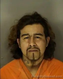 Mugshot of LUIS FERNANDO ABARCA RAMOS booked in Horry County, South Carolina on April 2, 2026