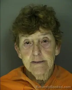 Mugshot of DEBORAH ANN YOUNG booked in Horry County, South Carolina on April 2, 2026