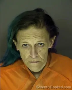 Mugshot of FELICIA DEANN BECKER booked in Horry County, South Carolina on April 3, 2026