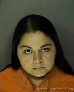 Mugshot of DIANA LAURA SOTO FERNANDEZ booked in Horry County, South Carolina on April 3, 2026