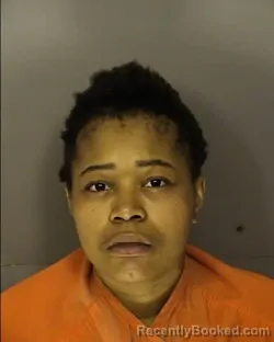 Mugshot of BRITTANY NICOLE NEELY booked in Horry County, South Carolina on April 3, 2026