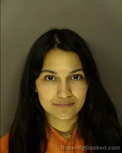 Mugshot of DAYANA ESMERALDA MEJIA-GUZMAN booked in Horry County, South Carolina on April 3, 2026