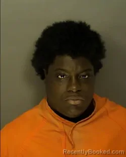 Mugshot of JAHNIAH JAZMINE WATSON booked in Horry County, South Carolina on April 3, 2026