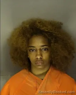 Booking photo from Horry County, South Carolina