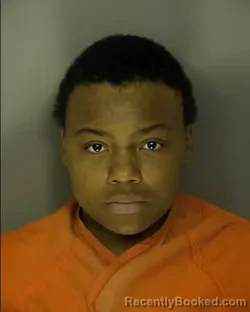 Mugshot of JAQUIRIA DASHANA BOONE booked in Horry County, South Carolina on April 8, 2026