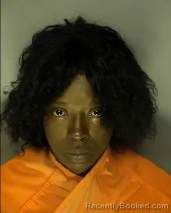 Mugshot of LATOYA SHONTAY MCKNIGHT booked in Horry County, South Carolina on April 15, 2026