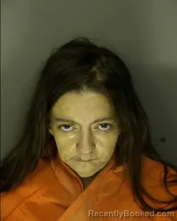 Mugshot of MELISSA LYNN MCCARLEY booked in Horry County, South Carolina on April 15, 2026