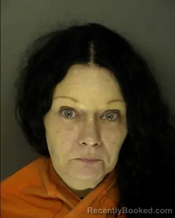 Mugshot of CINDY CARROLL SCHULTZ booked in Horry County, South Carolina on April 16, 2026