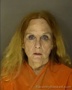 Mugshot of VIRGINIA ANNE MONAHAN booked in Horry County, South Carolina on April 23, 2026