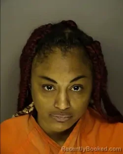 Mugshot of QUANESHA LATRELL BURGESS booked in Horry County, South Carolina on May 8, 2026