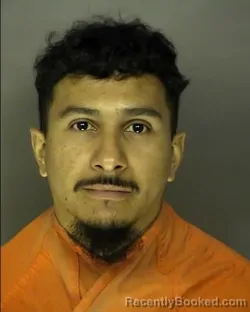 Mugshot of RONNY LEONEL AGUILAR booked in Horry County, South Carolina on May 15, 2026