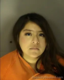 Mugshot of KAREN ISABEL JIMENEZ FRANCISCO booked in Horry County, South Carolina on May 15, 2026