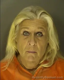 Mugshot of ERNESTINE ELAINE MISHOE booked in Horry County, South Carolina on May 16, 2026
