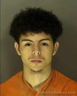 Mugshot of CARLOS ARTURO MENDEZ SANTOS booked in Horry County, South Carolina on May 16, 2026
