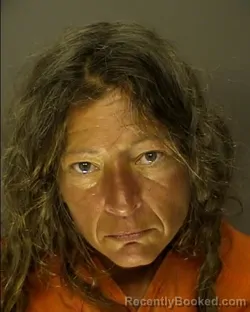 Mugshot of SHANNON MARIE REED booked in Horry County, South Carolina on May 16, 2026